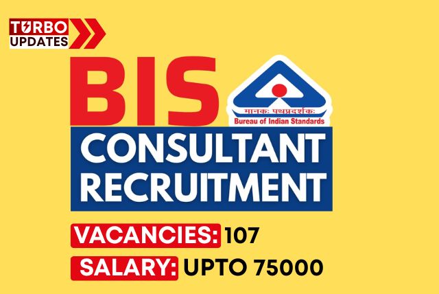 BIS Consultant Recruitment 2025